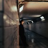 Tell Me What You See（feat.程倪 Xnnie）