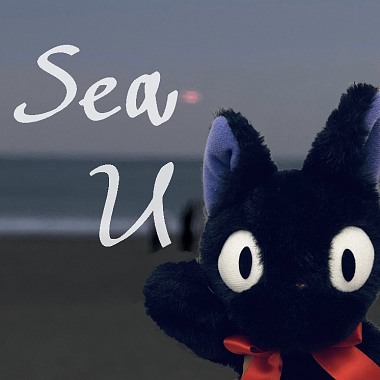 Sea u