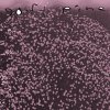 Soft Pine - You'll Be Fine