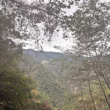 籠中鳥 Caged bird（Prod.Kyon）