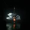 Disappearance Requiem I