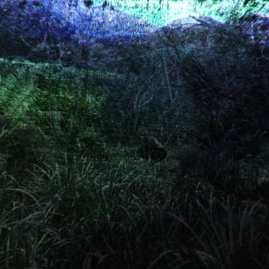 無覓 Searching