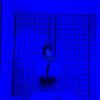 Soul n Body ( 自然變態 Demo )