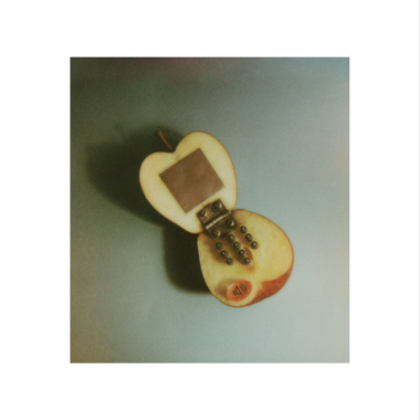 We Talk To iPhone But Not Our Best Friend(demo)