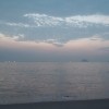 Tide
