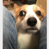 療傷與腿毛