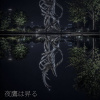 夜鷹は昇る