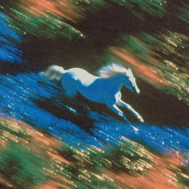 以想法度過的生活