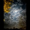 Lost night