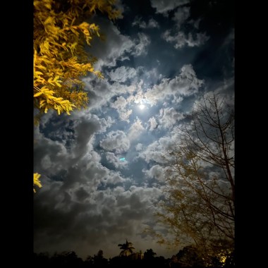 Lost night