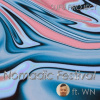 Nomadic Festival ft.WN