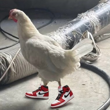 ㄐˋ畫案
