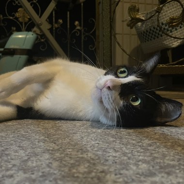 黑丸