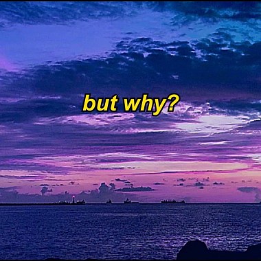 But why(Demo)