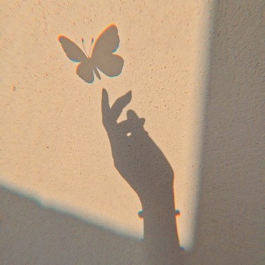 you are my butterly?-BüYIbaby