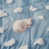 不會失眠的貓貓（催眠版）