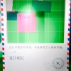 世界上沒有城堡