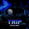 Trip