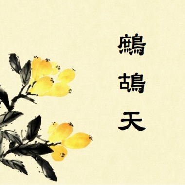 3 鷓鴣天