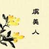7 虞美人
