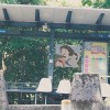 我多想陪你飛翔