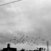 塵世 Dust World
