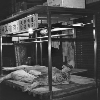 輪迴 Reincarnation