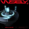 WISELY
