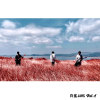 我虽不才 Band ver.