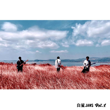 我虽不才 Band ver.