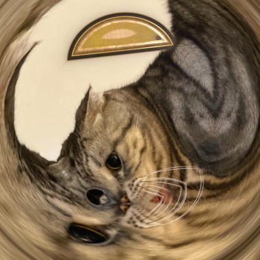 不然你是殺小？