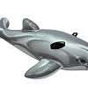 中華白海豚（demo 1）