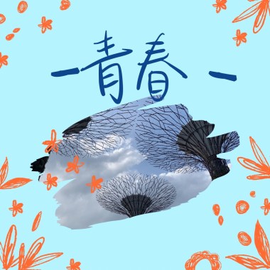青春
