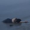 Mermaid 美人魚