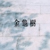 金龜樹