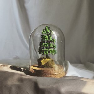 樓中樓 feat.周穆