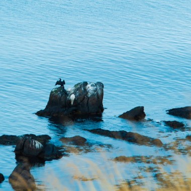 Iceland Drop
