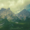 ToZiK & Avelyn - Wild