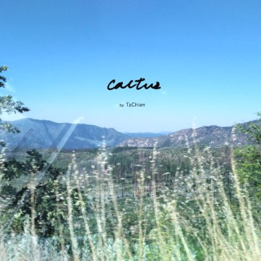 Cactus 仙人掌