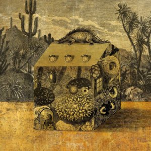 你們長得蠻像的