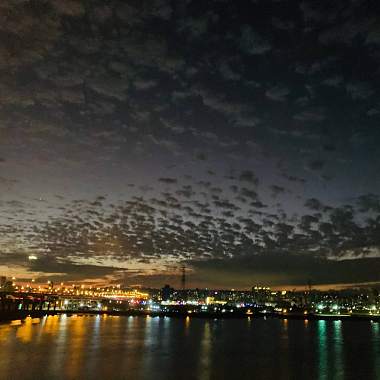 台北心碎鵲橋