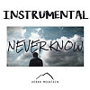 Never Know (inst.) - Urban Mountain
