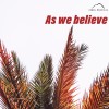 As we believe - Cho Lewis 