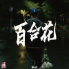 陳碎CYK - 百合花