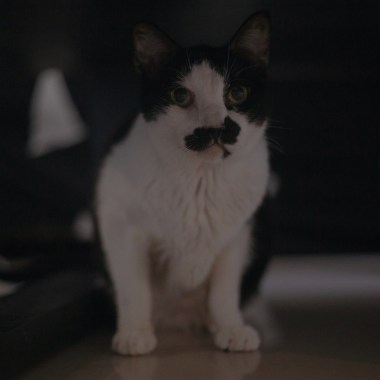 那些不得已的所有[Live 2025ver.]