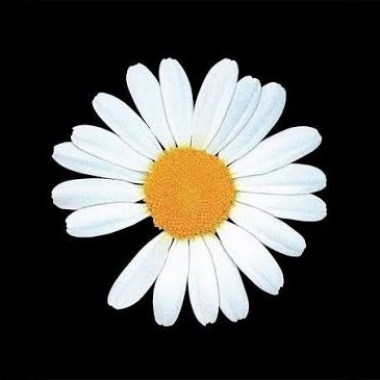 G-Dragon - Home Sweet Home [AI Vox, Rearranged]