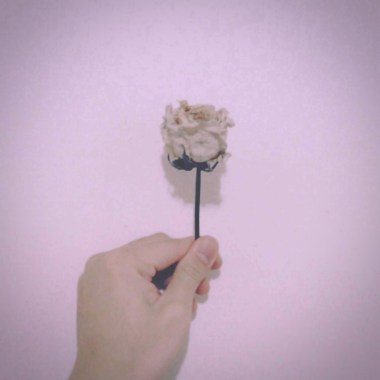 彥彥 - 奮不顧身ft.techdim