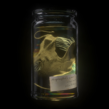 我完美的愛情 Anglerfish’s Love