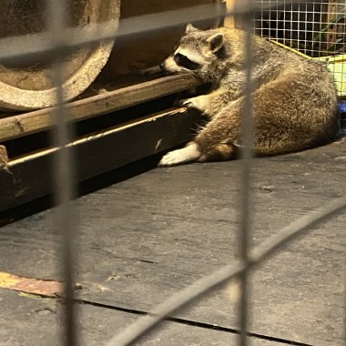 你各位都這樣欺負我