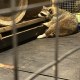你各位都這樣欺負我